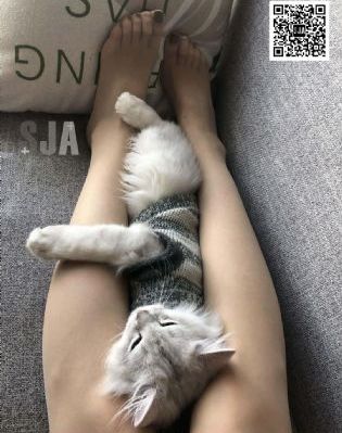 久久国产黄色片_HD免费电视剧