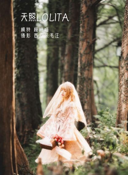 亚洲自拍一区网_粤语中字在线观看